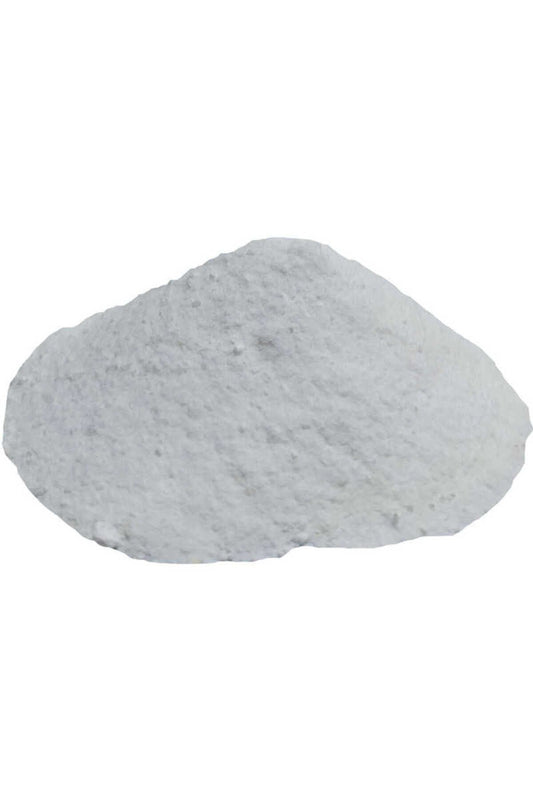 Salça Domates Turşu Koruyucu Toz Salisilik Asit 100 Gr Paket